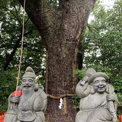 投稿日:2020年7月4日 写真