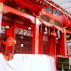 投稿日:2020年2月29日 写真