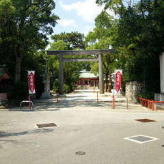 投稿日:2018年7月25日 写真