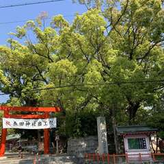 投稿日:2020年5月1日 写真