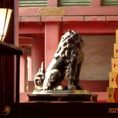 投稿日:2025年6月15日 写真