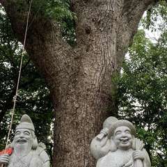 投稿日:2020年6月7日 写真