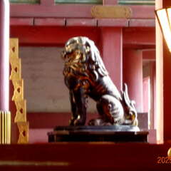 投稿日:2025年6月15日 写真