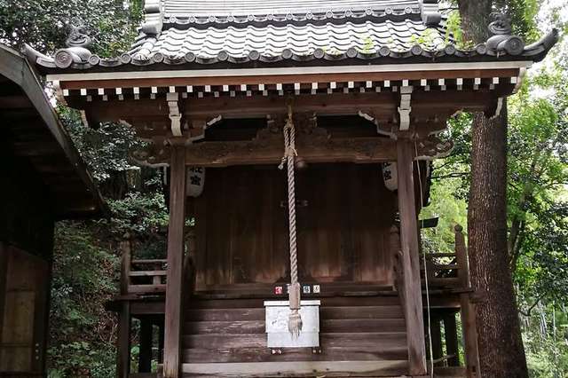 写真