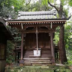 写真