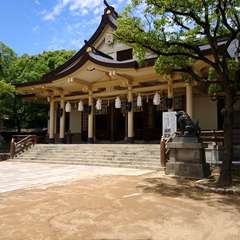 投稿日:2017年6月9日 写真