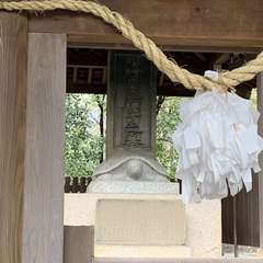 投稿日:2020年3月14日 写真