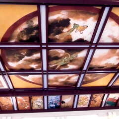 投稿日:2025年7月27日 写真