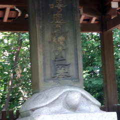 投稿日:2019年7月22日 写真