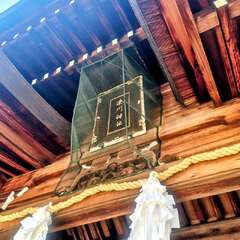 投稿日:2025年10月30日 写真