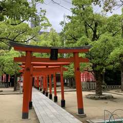 投稿日:2020年5月11日 写真