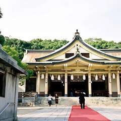 投稿日:2025年9月6日 写真