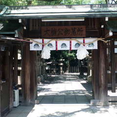 投稿日:2019年7月22日 写真