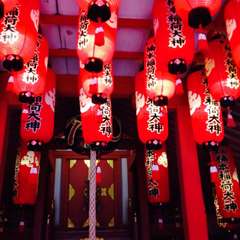 投稿日:2016年3月28日 写真