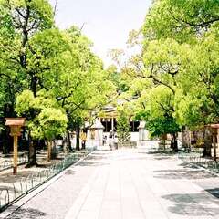 投稿日:2025年10月16日 写真