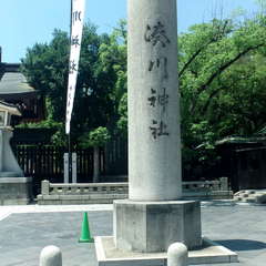 投稿日:2019年7月22日 写真