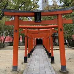 投稿日:2020年3月14日 写真