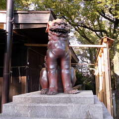 投稿日:2025年7月27日 写真