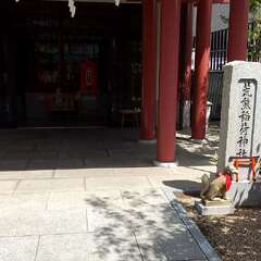 写真