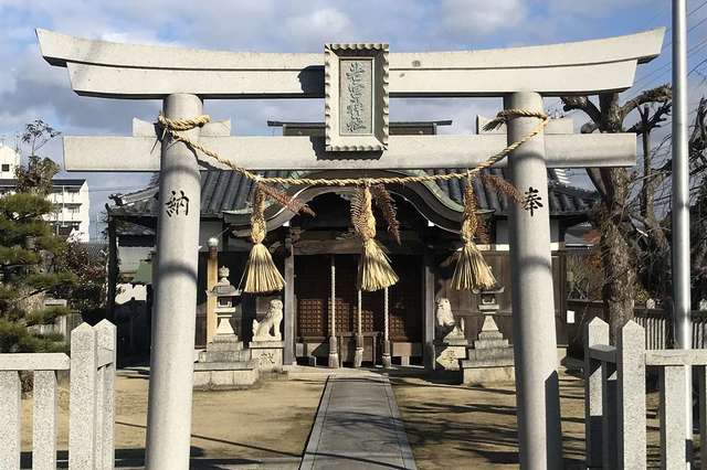 写真
