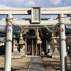 写真