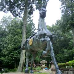 投稿日:2015年9月3日 写真