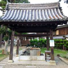 投稿日:2019年8月5日 写真