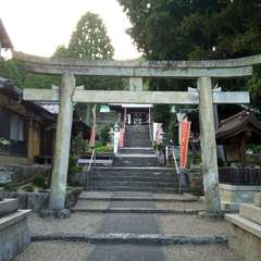 投稿日:2019年8月5日 写真