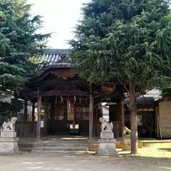 写真