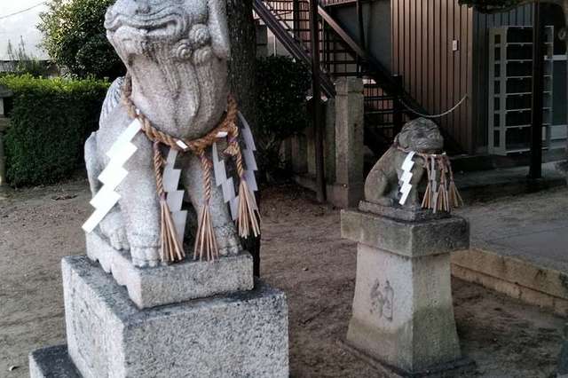 写真