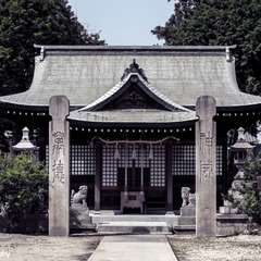 写真