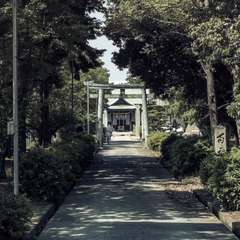 写真