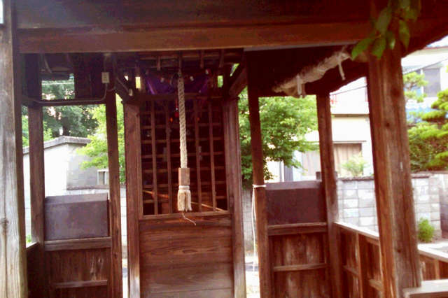 写真