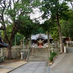 写真