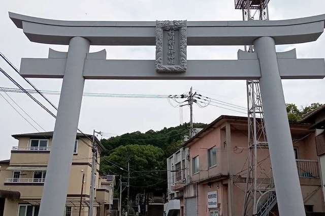写真