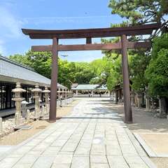 投稿日:2025年6月13日 写真