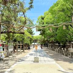 投稿日:2025年6月13日 写真