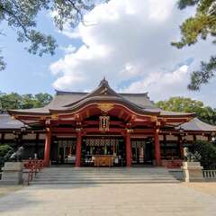 投稿日:2025年10月30日 写真