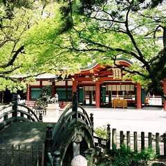 投稿日:2025年10月16日 写真