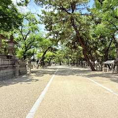 投稿日:2025年6月13日 写真