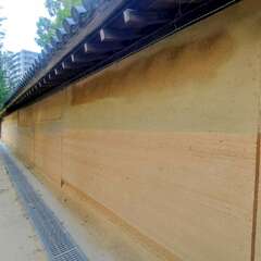 投稿日:2025年10月30日 写真