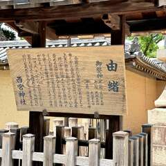 投稿日:2025年6月13日 写真