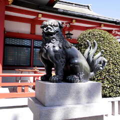 投稿日:2025年7月27日 写真