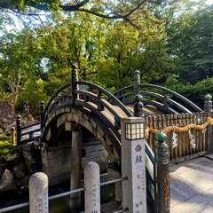 投稿日:2025年10月30日 写真