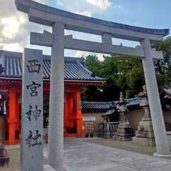 投稿日:2025年10月30日 写真