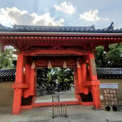 投稿日:2025年10月30日 写真