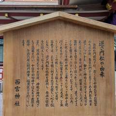 投稿日:2025年1月4日 写真