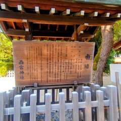 投稿日:2025年10月30日 写真