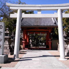 投稿日:2025年7月27日 写真