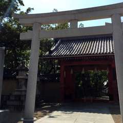 投稿日:2016年12月22日 写真